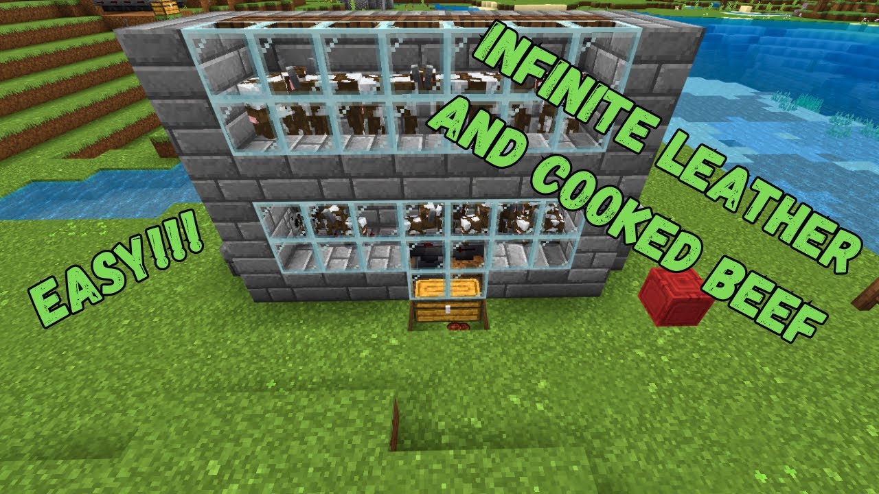 Simple 1 20 Automatic Cow Farm Tutorial In Minecraft Bedrock Mcpe Xbox