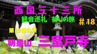 西国三十三所～観音巡礼～祈りの旅 ＃18（第10番札所 明星山 三室戸寺）（2019.6.22）