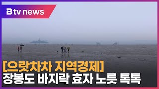 으랏차차 지역경제 장봉도 바지락 효자 노릇 톡톡