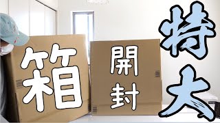 【爬虫類ショップ】最大級に大きい箱で到着した品物の紹介と製作動画♪駄菓子屋トカゲのおっさん