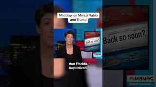 Maddow on Marco Rubio and Trump