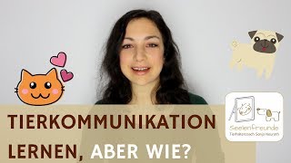 TIERKOMMUNIKATION LERNEN, wie geht das?