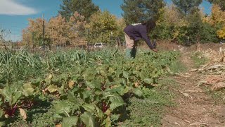 Colorado Leaders Of Color Share Importance Of Frontline Farming