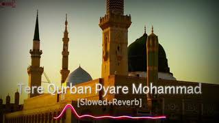Tere Qurban Pyare Mohammad Lofi | gir raha hu mujhe bhi sambhalo (Slowed Reverb) @aliislive786