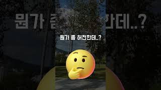 다이크로익 조형물은 로우폴리 기법으로 다이크로익 필름을 붙여 영롱한 빛을 발산하는 특수 조형물로 신비한 경관 조성을 도와주는 아이템입니다.