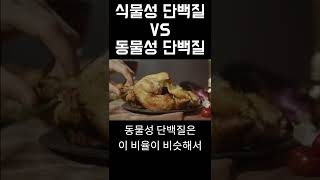 식물성 단백질 VS 동물성 단백질! 뭐가 더 좋을까?