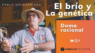 El brío y la genética - Pablo Saldarriaga - Doma Racional