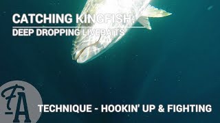 Catching Kingfish: Deep dropping live baits - fishing technique