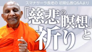 【ブッダの瞑想】「慈悲の瞑想」と祈り　――スマナサーラ長老との対話、仏教の教え｜ブッダの智慧で答えます（一問一答）