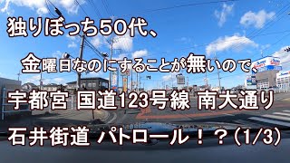 独りぼっち５０代、金曜日なのにすることが無いので、宇都宮 国道123号線 南大通り 石井街道 パトロール！？（1/3）