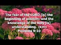 Bible Study 