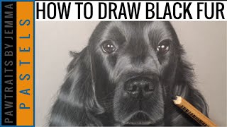 HOW TO DRAW BLACK FUR I Using Pastels