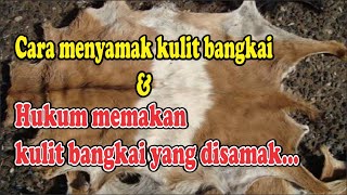 Menyamak Kulit Bangkai | Kajian Fiqih Bab Bersuci | Fathul Qorib