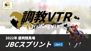 調教VTR｜2022年 JBCスプリント JpnI｜NAR公式