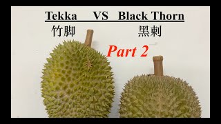 Duriology EP 12 Black Thorn ( 黑刺 ） VS Tekka（ 竹脚 ）Durian Part 2