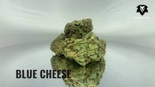 Chronic Haze - Blue Cheese