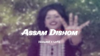 New Santhali Lofi Song Assam Dishom || Santhali Lofi Song 2024 || [ Slowed + Lofi]