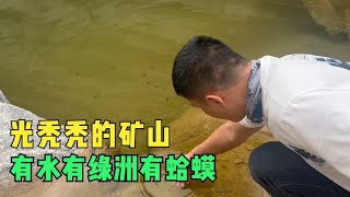 跟着小柏进山找和田玉矿，光秃秃的无人区里，独特的绿洲和生物链【楼兰阿宁】