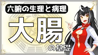 【中医学基礎＃２４】初心者のための７分で分かる「大腸」の生理と病理【東洋医学入門】