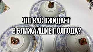 Выбери кружку ☕️ ЧТО МЕНЯ ЖДЁТ В БЛИЖАЙШИЕ ПОЛГОДА? ☕️ гадание на кофе