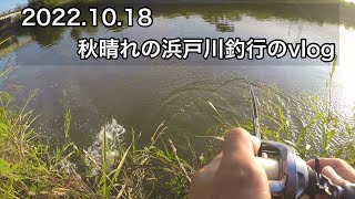 10/18 秋晴れの浜戸川釣行のvlog