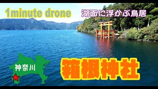 【1min. drone #17】神奈川県箱根町・箱根神社～湖面に浮かぶ鳥居～