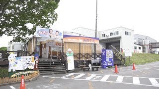 【観光】真夏さん牛にモテモテ！？ 函館の濃厚ソフトクリーム！！【函館酪農公社】