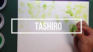 HOW TO WATERCOLOR 透明水彩　TASHIRO　屋久島