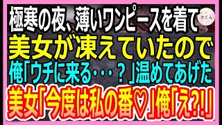 【感動する話】真冬の寒空の下、薄いワンピースしか着てない女性が凍えていたので家に招待してご飯と寝床を提供した→すると、黒塗りの車が家の前にやってきて…【いい話・朗読・泣ける話】