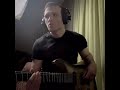 vola inside your fur guitar cover