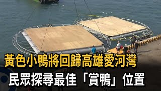 黃色小鴨回歸倒數！ 民眾提早探尋最佳「賞鴨」位置－民視新聞