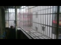 2016年莫蘭蒂颱風 高雄三民風雨 super typhoon meranti hits kaohsiung taiwan