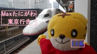 上越新幹線Maxたにがわ東京行き東京駅到着前車内案内