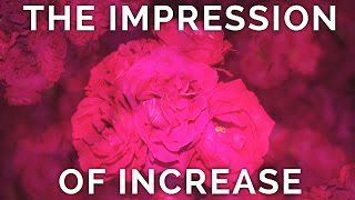 The Impression of Increase