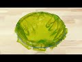 Homemade Bioplastic: testing starch bioplastic water resistance