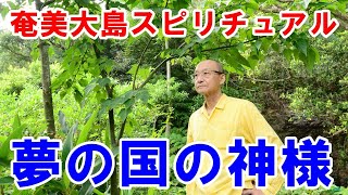 【奄美大島スピリチュアル】夢の国の神様降臨