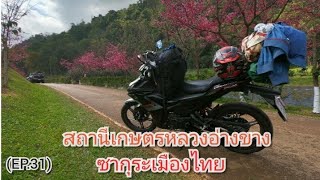 (EP.31) สถานีเกษตรหลวงอ่างขาง day4  จบทริป