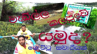 #kalapuwa #travel #travelwithමස්සිනා Boat tours in the lagoon/කලපුවක අසිරිය සොයාගිය බෝට්ටු සවාරිය