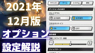 【ドラガリ】使えるオプション設定を解説！オススメサポートキャラも紹介。