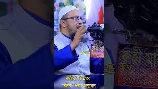 নারীরা কিভাবে সঠিক পর্দা মানবেন | Sheikh Ahmadullah