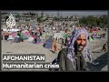 Afghanistan displacement crisis: Millions in need of urgent aid