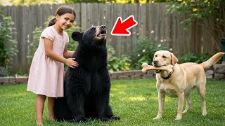 When Their Dog Brought Home a Bear Cub, They Thought It Was a Mistake — Now They're Family!