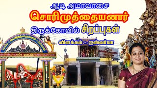 சொரிமுத்து அய்யனார் கோவில் ஆடி அமாவாசை திருவிழா | Karaiyar Sorimuthu Ayyanar Temple Aadi Amavasai