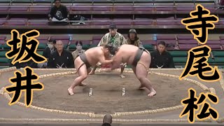 坂井VS寺尾松（錣山部屋） 令和7年1月場所1日目#sumo #相撲