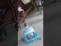 又廢了一學步車⊙﹏⊙ baby 人類幼崽 cute funnybaby funny 萌寶 cute baby 萌娃 搞笑 可愛 可愛い 寶寶