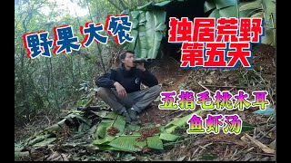 独居荒野第五天，增添房前雨滴，大量野果补充体能，晚上吃补的