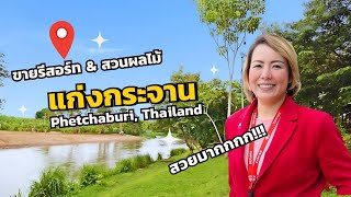 ขายรีสอร์ท สวนผลไม้ แก่งกระจาน ติดแม่น้ำเพชรบุรี