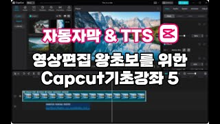 목소리를 자막으로! 자막을 목소리로! 둘 다 된다! 캡컷 자동자막 [왕초보를 위한 캡컷기초강좌 05]