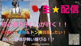 【PUBG】初心者女子(？)が行く！　深夜配信！PUBGで攻略＆ドン勝目指したい！キルも頑張る！　#１７６－２【ちびぞぉ】