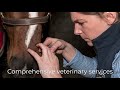 rossdales veterinary surgeons diamond anniversary video short version